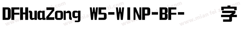 DFHuaZong W5-WINP-BF字体转换